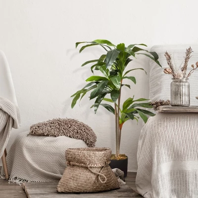 Forever Leaf 48" Artificial Dracaena Plant In Black Pot, Indoor Artificial Plant For Home Decor 4 Forever Leaf 48" Artificial Dracaena Plant In Black Pot, Indoor Artificial Plant For Home Decor - Image 4