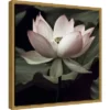 16" X 16" The Lotus I By Andy Neuwirth Framed Canvas Wall Art - Amanti Art