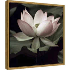 16" X 16" The Lotus I By Andy Neuwirth Framed Canvas Wall Art - Amanti Art