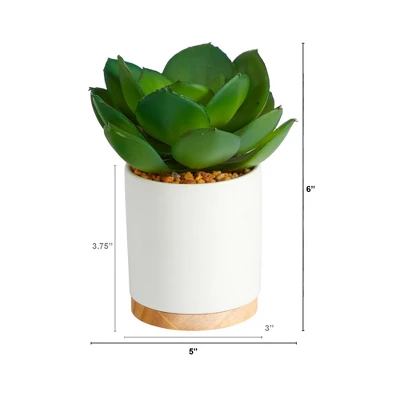 Nearly Natural 6-in Succulent Artificial Plant In White Ceramic Planter 1 Nearly Natural 6-in Succulent Artificial Plant In White Ceramic Planter