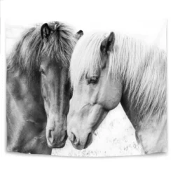 Horse Love By Sisi And Seb Wall Tapestry 7 Horse Love By Sisi And Seb Wall Tapestry -Home Decor Shop GUEST 12fd3d95 eca4 4199 9fc4 ca89a4a8d201