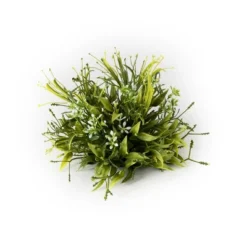 Sullivans Artificial Smilax Orb 5.5"H Green -Home Decor Shop GUEST 1d98a1e2 0e49 460d a088 e780608e60e3