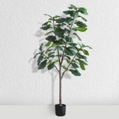 Forever Leaf 72" Artificial Fiddle Tree In Black Pot 3 Stem, Indoor Artificial Plant For Home Decor -Home Decor Shop GUEST 320a0cdb bf98 4de3 9dcd ab5f1d63c72e