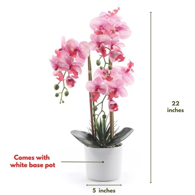 Forever Leaf Pink Orchid Artificial Plant In White Ceramic Pot, Indoor Artificial Plant For Home Decor 5 Forever Leaf Pink Orchid Artificial Plant In White Ceramic Pot, Indoor Artificial Plant For Home Decor - Image 5