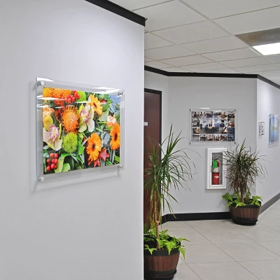 Azar Displays Floating Acrylic Wall Frame With Silver Stand Off Caps: 22" X 28" Graphic Size, Overall Frame Size: 26" X 32" 4 Azar Displays Floating Acrylic Wall Frame With Silver Stand Off Caps: 22" X 28" Graphic Size, Overall Frame Size: 26" X 32" - Image 4