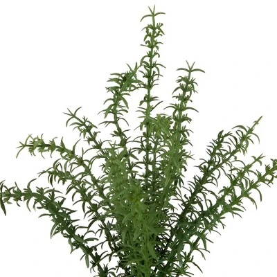 Northlight Real Touch™ Artificial Thyme Plant In Gray Ceramic Pot - 15" 4 Northlight Real Touch™ Artificial Thyme Plant In Gray Ceramic Pot - 15" - Image 4