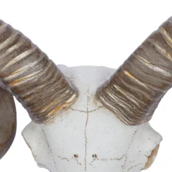 Polystone Sheep Skull Wall Decor White - Olivia & May 7 Polystone Sheep Skull Wall Decor White - Olivia & May -Home Decor Shop GUEST 3cd40bb9 77d7 41a4 8db3 c098b811a8d9