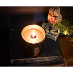 Ukonic Harry Potter Dark Arts Premium Scented Soy Wax Candle 8 Ukonic Harry Potter Dark Arts Premium Scented Soy Wax Candle -Home Decor Shop GUEST 411ab146 4983 4d63 abbb 98ce34b06345