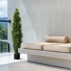 Forever Leaf 36" Cedar Boxwood In Black Pot (2 Pack), Indoor Artificial Plant For Home Decor 7 Forever Leaf 36" Cedar Boxwood In Black Pot (2 Pack), Indoor Artificial Plant For Home Decor -Home Decor Shop GUEST 6c80402d 2fd6 467b 9ae9 98241ff7a7a7