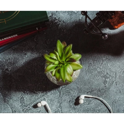 Silver Buffalo Star Wars Death Star 3-Inch Ceramic Mini Planter With Artificial Succulent 5 Silver Buffalo Star Wars Death Star 3-Inch Ceramic Mini Planter With Artificial Succulent - Image 5