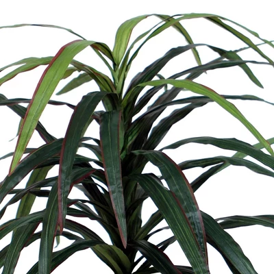 4' Artificial Marginata Bush - Vickerman 3 4' Artificial Marginata Bush - Vickerman - Image 3