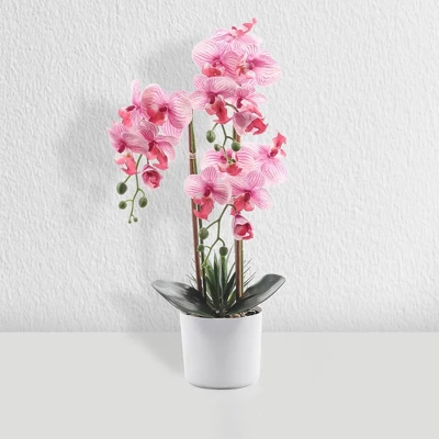 Forever Leaf Pink Orchid Artificial Plant In White Ceramic Pot, Indoor Artificial Plant For Home Decor 3 Forever Leaf Pink Orchid Artificial Plant In White Ceramic Pot, Indoor Artificial Plant For Home Decor - Image 3