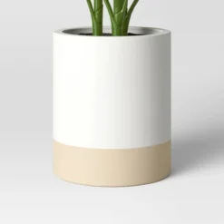 Large Variegated Plant - Threshold™ -Home Decor Shop GUEST 7d5c4722 8e80 4f51 9089 0f72358617e5