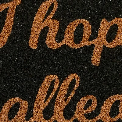 Park Designs I Hope You Called First Doormat 1'6''x2'6'' 2 Park Designs I Hope You Called First Doormat 1'6''x2'6'' - Image 2