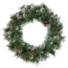 Northlight Snow Valley Pine Artificial Christmas Wreath, 24-Inch, Unlit