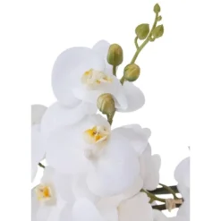 Dahlia Studios Potted Faux Artificial Flowers Realistic White Phalaenopsis Orchid In White Ceramic Pot Home Decoration 29" High -Home Decor Shop GUEST 98aaa0f5 4fa7 480e ae80 f63be8f10a1d