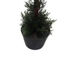 3' Artificial Cedar Double Balls In Pot (UV) - Vickerman 12 3' Artificial Cedar Double Balls In Pot (UV) - Vickerman -Home Decor Shop GUEST 9c492dd9 79f3 4c35 aab8 4d17fb18dc87