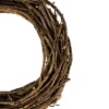Northlight Natural Grapevine And Twig Artificial Spring Wreath, 12-Inch, Unlit