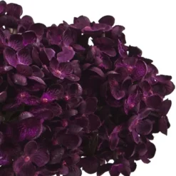 8.5" Hydrangea Silk Flower Arrangement With Glass Vase, Purple - Nearly Natural