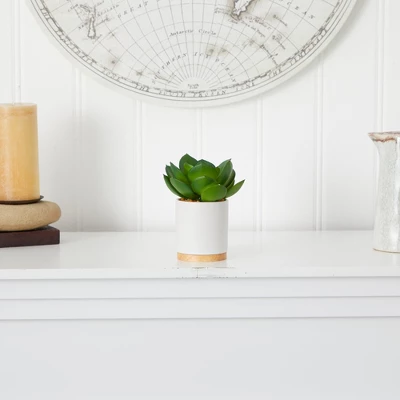 Nearly Natural 6-in Succulent Artificial Plant In White Ceramic Planter 3 Nearly Natural 6-in Succulent Artificial Plant In White Ceramic Planter - Image 3