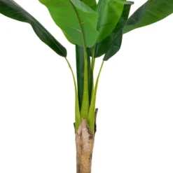 Northlight 4' Artificial Tropical Banana Tree In A Clay Pot 9 Northlight 4' Artificial Tropical Banana Tree In A Clay Pot -Home Decor Shop GUEST bfe0e21a a17b 41c1 ba37 5b04cb6342a0