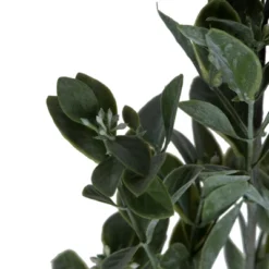 Vickerman 20" Artificial Green And White Aglaia Spray. Includes 6 Sprays Per Pack.