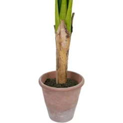 Northlight 4' Artificial Tropical Banana Tree In A Clay Pot 11 Northlight 4' Artificial Tropical Banana Tree In A Clay Pot -Home Decor Shop GUEST c812ca03 d556 408a a673 54860ee38746