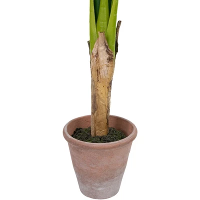 Northlight 4' Artificial Tropical Banana Tree In A Clay Pot 6 Northlight 4' Artificial Tropical Banana Tree In A Clay Pot - Image 6