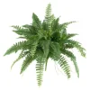 Boston Fern 2pk (40") - Nearly Natural