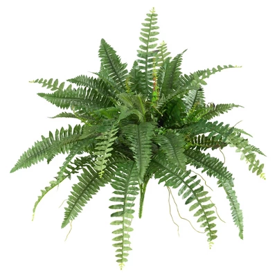 Boston Fern 2pk (40") - Nearly Natural 1 Boston Fern 2pk (40") - Nearly Natural