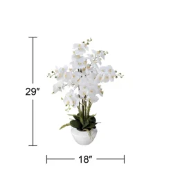 Dahlia Studios Potted Faux Artificial Flowers Realistic White Phalaenopsis Orchid In White Ceramic Pot Home Decoration 29" High -Home Decor Shop GUEST df4c5fab 3b39 4b74 b22f eba309ee04bd