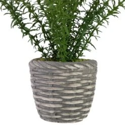 Northlight Real Touch™ Artificial Thyme Plant In Gray Ceramic Pot - 15" 9 Northlight Real Touch™ Artificial Thyme Plant In Gray Ceramic Pot - 15" -Home Decor Shop GUEST e0807bc0 cbcc 4971 ab81 0f3db54cb1a5
