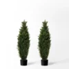 Forever Leaf 36" Cedar Boxwood In Black Pot (2 Pack), Indoor Artificial Plant For Home Decor