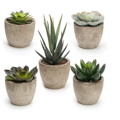 MPM Artificial Succulent Plants Potted, Assorted Decorative Faux Succulent Potted Fake Cactus Cacti Plants With Pots, For Office, Living Room Set Of 5 1 MPM Artificial Succulent Plants Potted, Assorted Decorative Faux Succulent Potted Fake Cactus Cacti Plants With Pots, For Office, Living Room Set Of 5