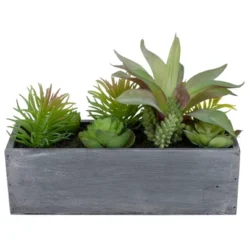 Northlight 12" Artificial Mixed Succulent Plants In A Rectangular Planter -Home Decor Shop GUEST f4109dc6 9bd7 4f6c 9371 241fa94e9b46