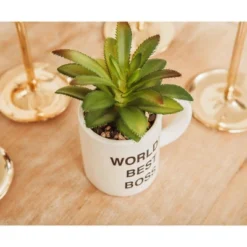 Silver Buffalo The Office "World's Best Boss" 3-Inch Ceramic Mini Planter With Artificial Succulent -Home Decor Shop GUEST f9a84c60 2eac 4e50 8d3c f0481c33d8e5