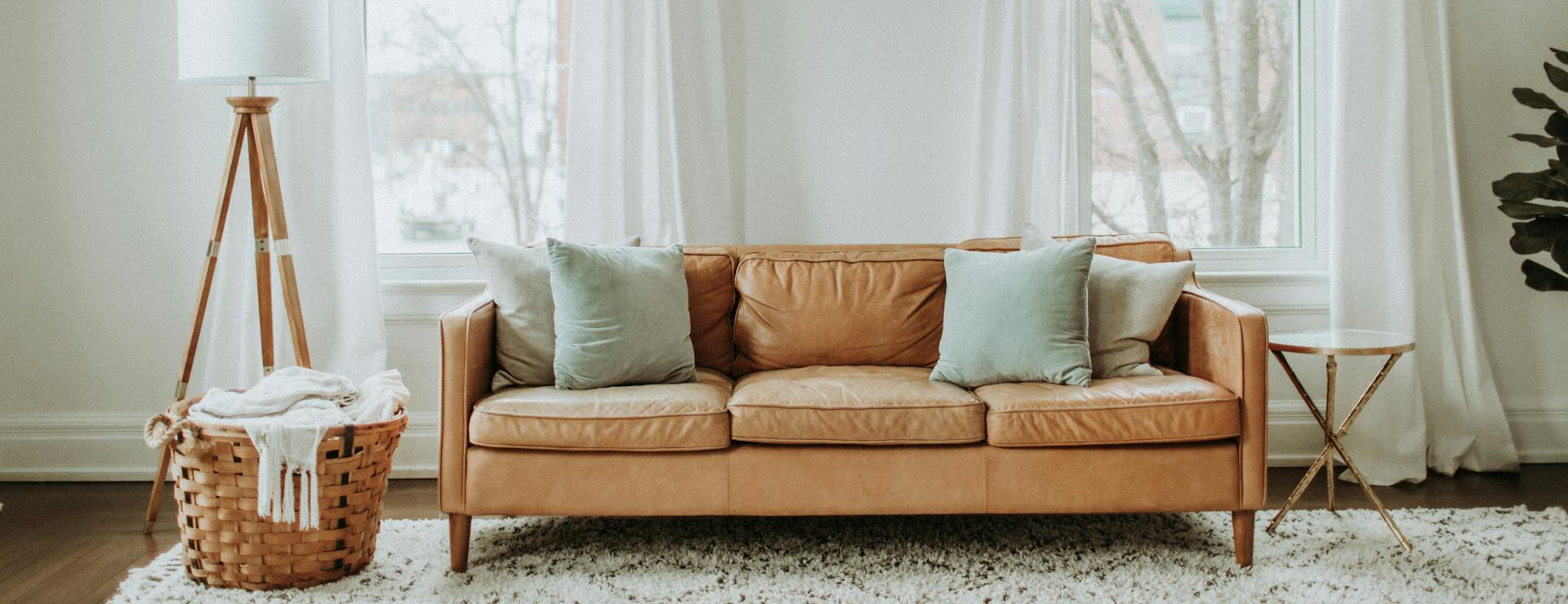 Home Decor Shop -Home Decor Shop pexels leah newhouse 50725 6480707